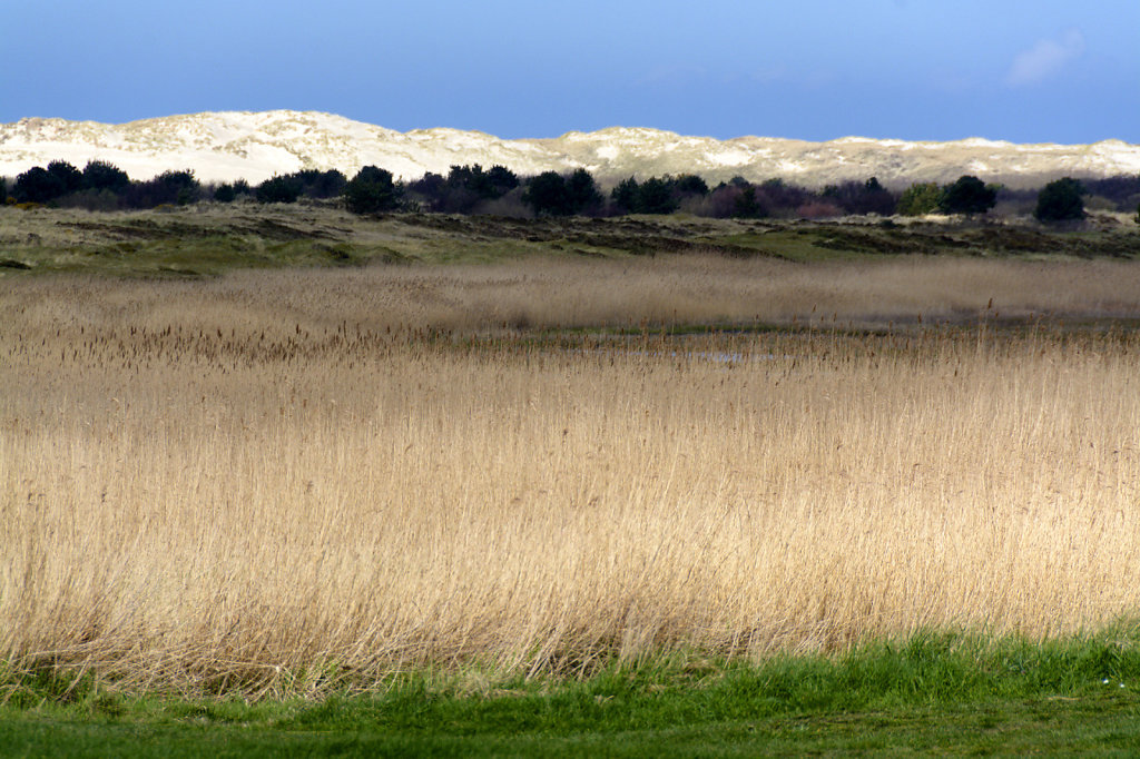 10. Terschelling - West