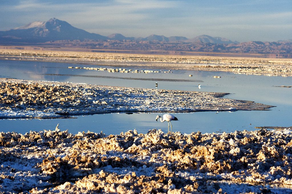 11. Chili Noord - Atacama. Zoutmeer