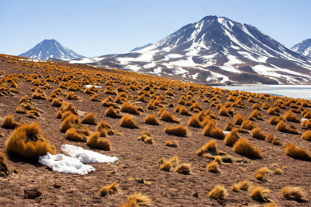13. Chili Noord - Atacama. Meer van Miscanti